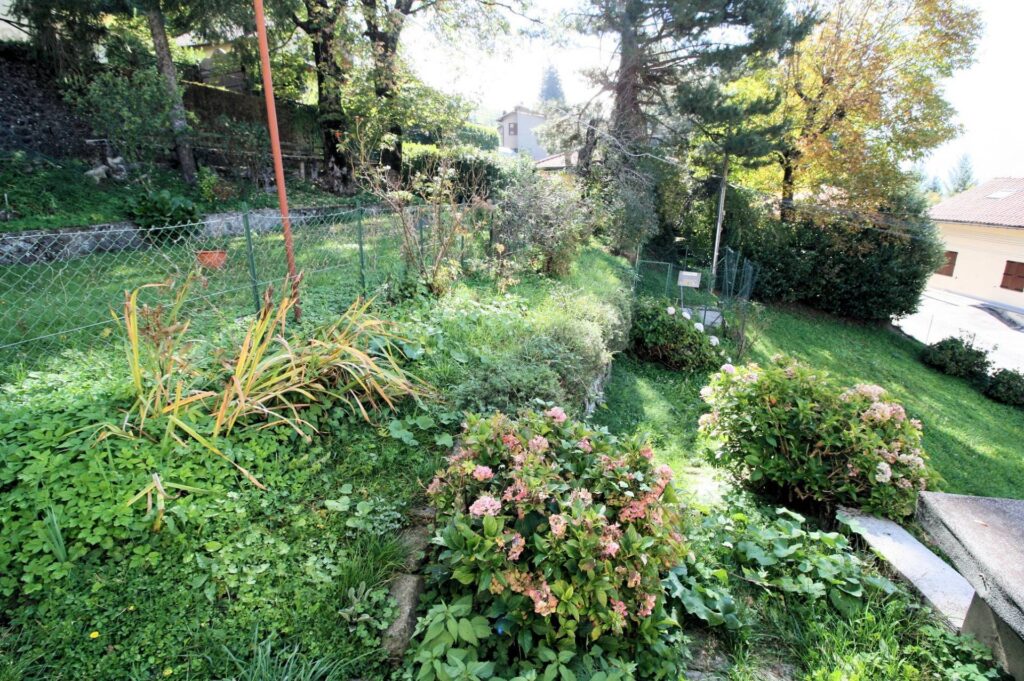 1005-Bel terratetto ex turistico ricettivo con ampio giardino-Abetone Cutigliano-7 Agenzia Immobiliare ASIP