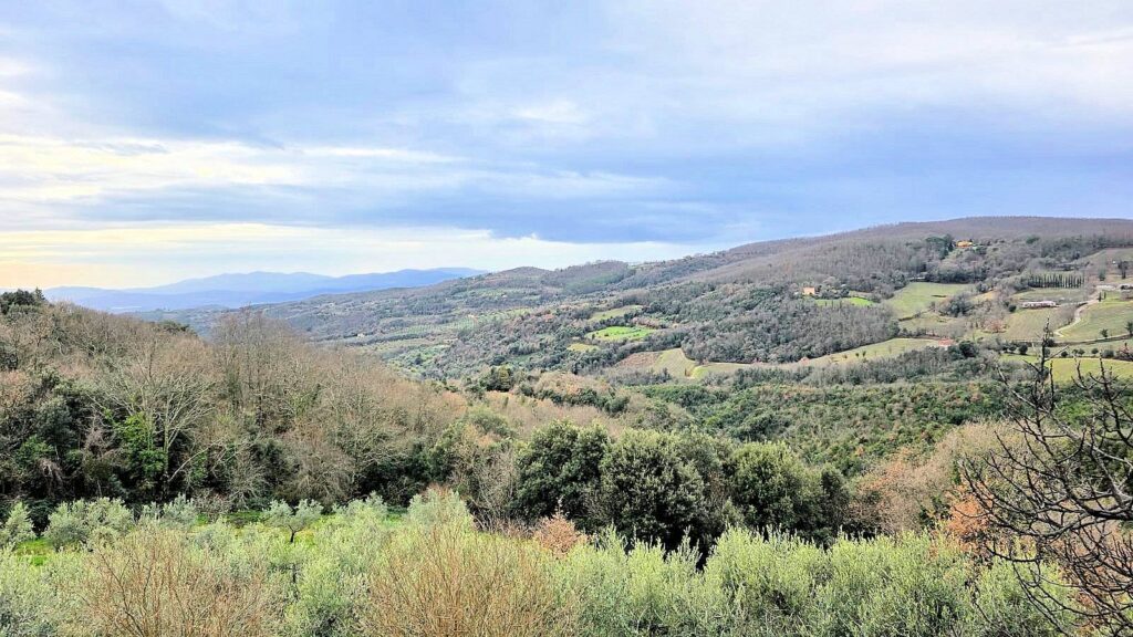 1685-Rustico ristrutturato con ampio terreno e vista panoramica-Roccastrada-6 Agenzia Immobiliare ASIP