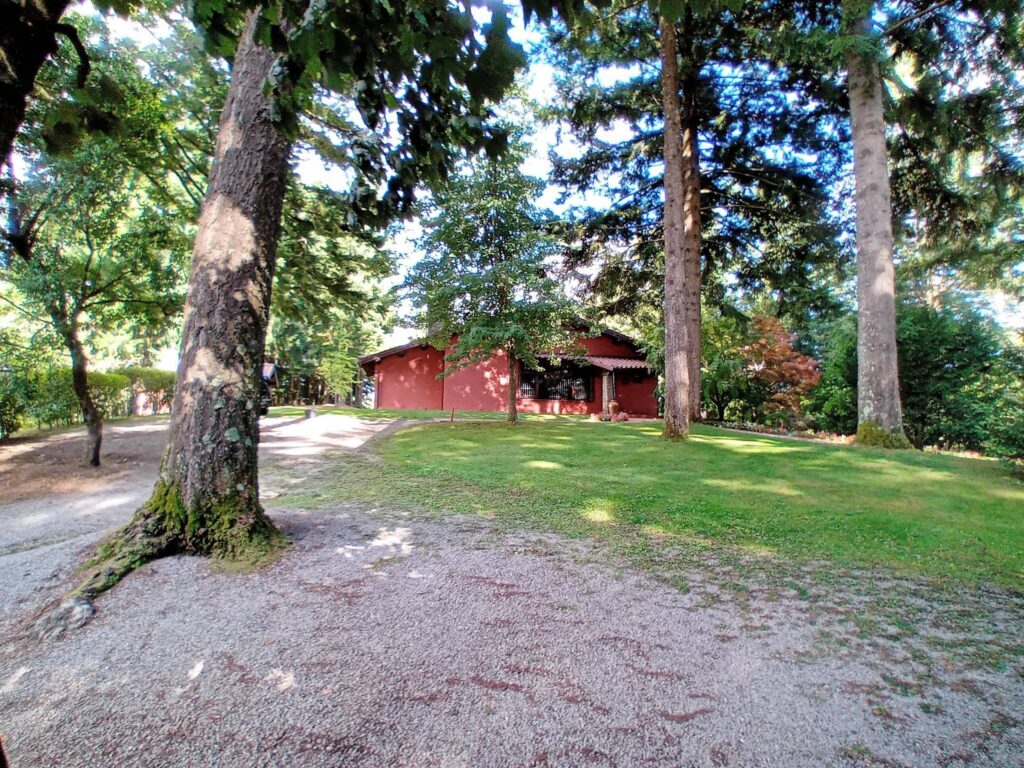 1686-Bellissima villa unifamiliare con annessi parco e piscina-Marliana-14 Agenzia Immobiliare ASIP