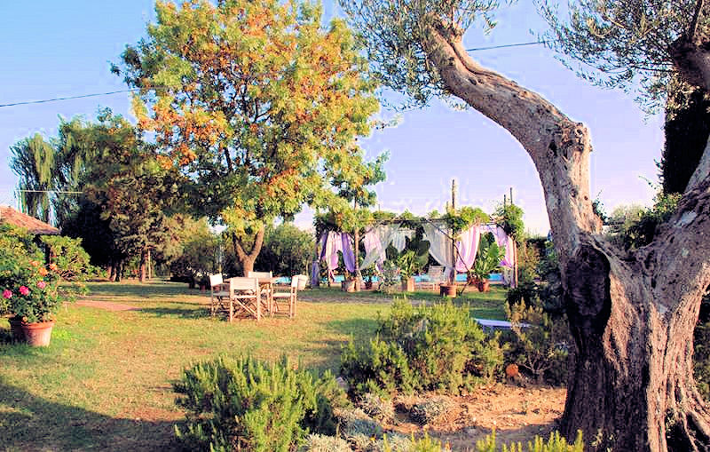 560-Rustico con parco e piscina-Manciano-8 Agenzia Immobiliare ASIP
