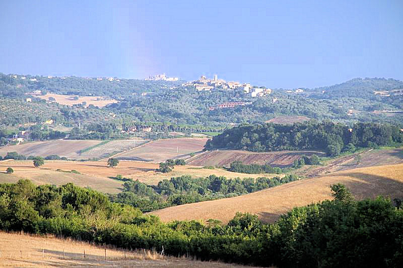 560-Rustico con parco e piscina-Manciano-9 Agenzia Immobiliare ASIP