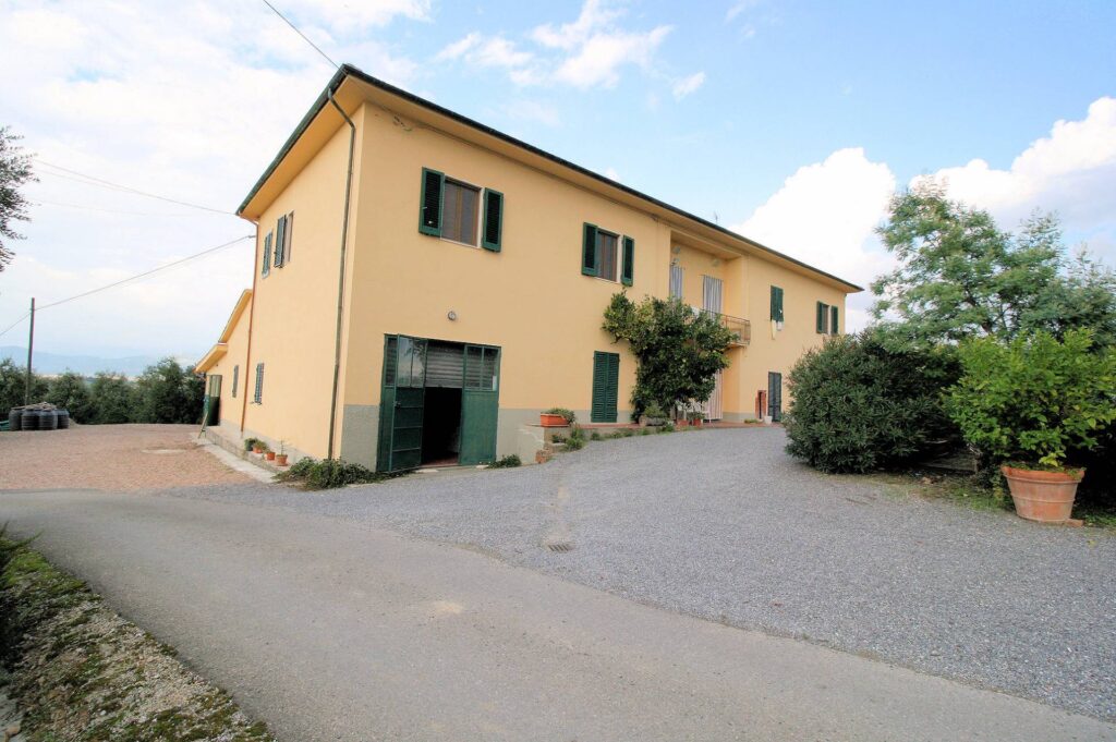 564-Azienda agricola produzione vino ed olio-Cerreto Guidi-14 Agenzia Immobiliare ASIP