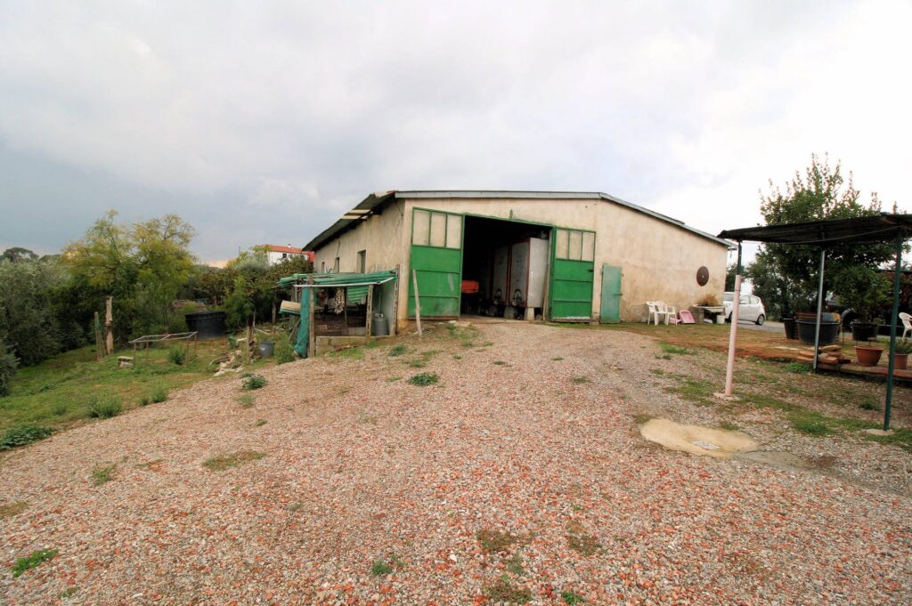 564-Azienda agricola produzione vino ed olio-Cerreto Guidi-10 Agenzia Immobiliare ASIP