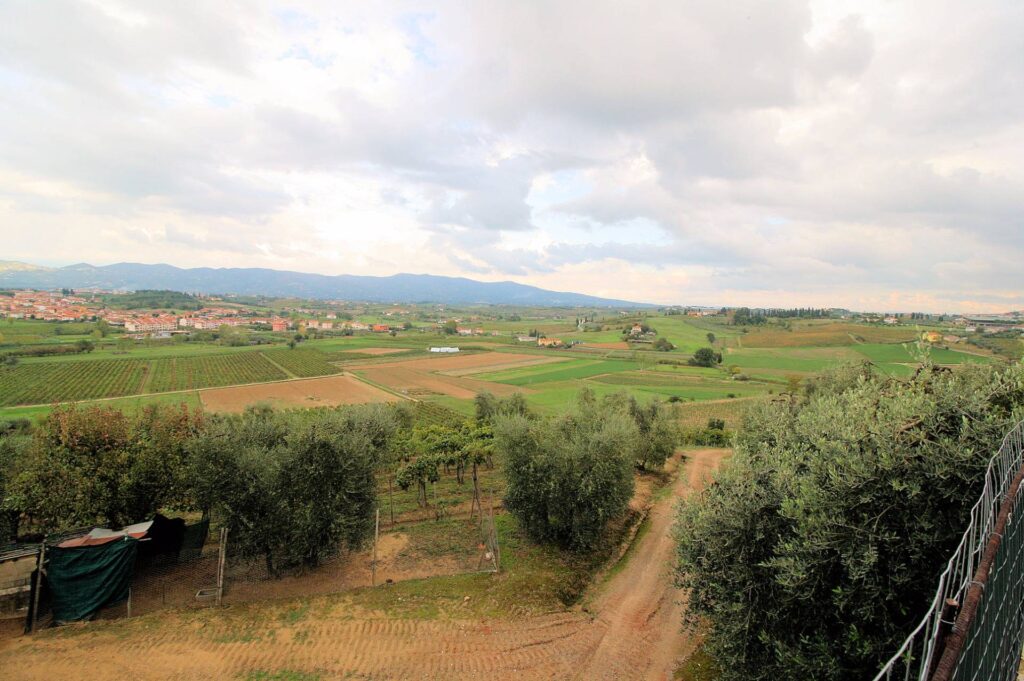 564-Azienda agricola produzione vino ed olio-Cerreto Guidi-13 Agenzia Immobiliare ASIP