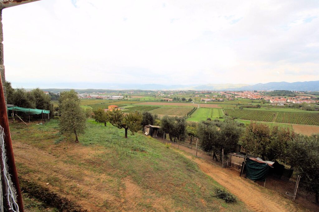564-Azienda agricola produzione vino ed olio-Cerreto Guidi-20 Agenzia Immobiliare ASIP