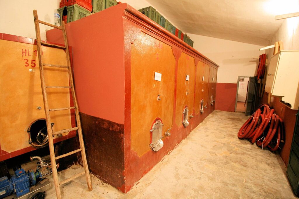 564-Azienda agricola produzione vino ed olio-Cerreto Guidi-21 Agenzia Immobiliare ASIP