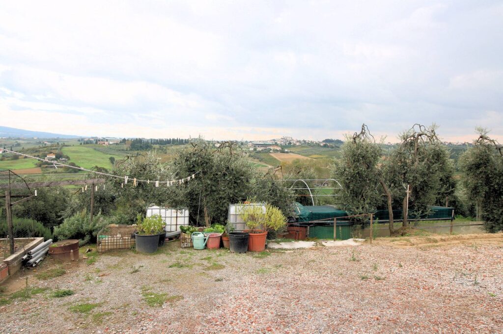 564-Azienda agricola produzione vino ed olio-Cerreto Guidi-23 Agenzia Immobiliare ASIP