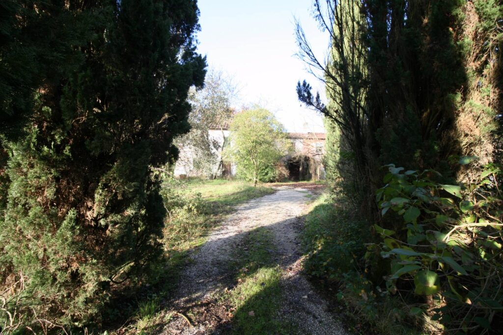 590-Complesso immobiliare di ampia metratura da ristrutturare-Altopascio-8 Agenzia Immobiliare ASIP