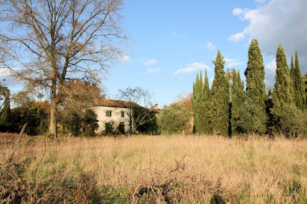 590-Complesso immobiliare di ampia metratura da ristrutturare-Altopascio-17 Agenzia Immobiliare ASIP