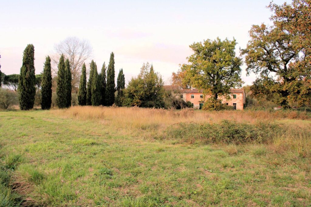 590-Complesso immobiliare di ampia metratura da ristrutturare-Altopascio-9 Agenzia Immobiliare ASIP