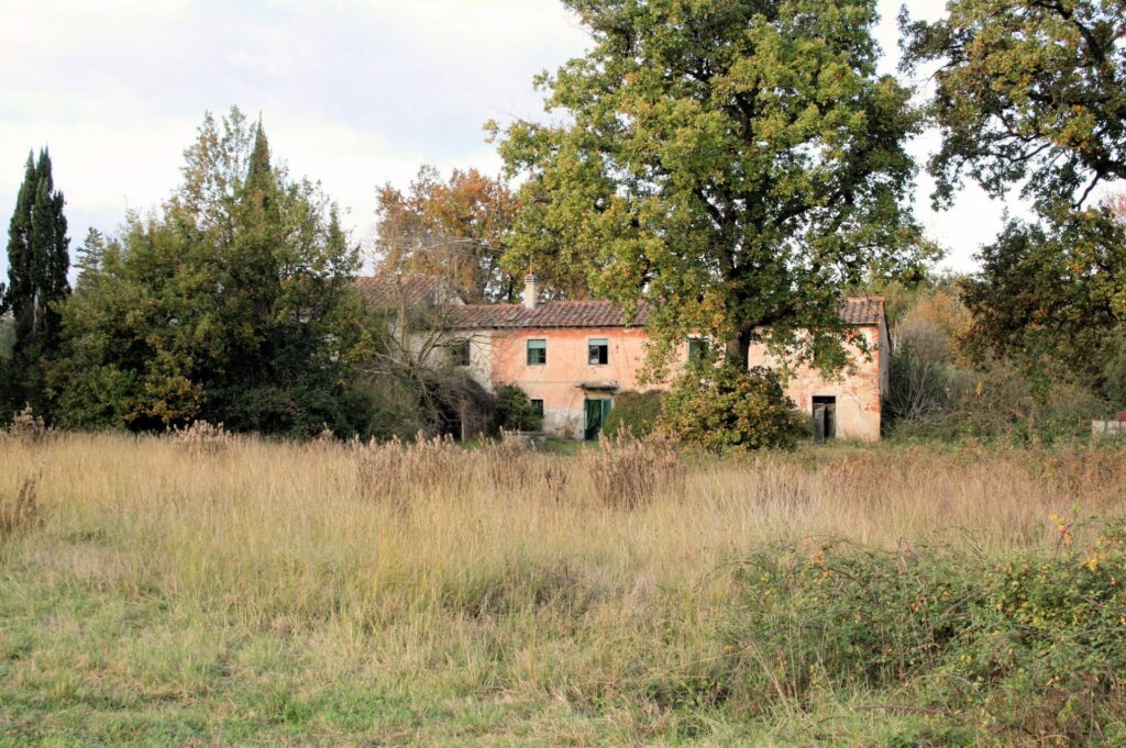 590-Complesso immobiliare di ampia metratura da ristrutturare-Altopascio-4 Agenzia Immobiliare ASIP