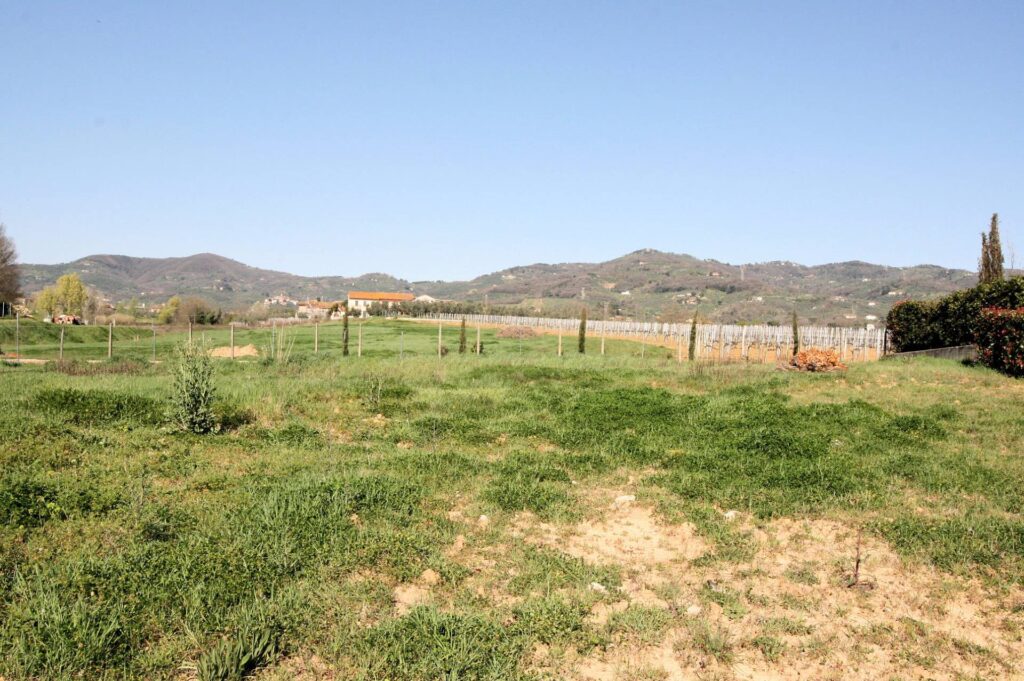 598-Terreno edificabile con progetto approvato-Larciano-6 Agenzia Immobiliare ASIP
