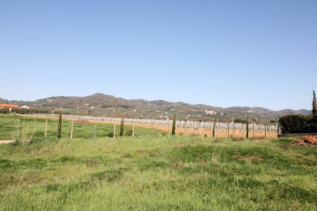 598-Terreno edificabile con progetto approvato-Larciano-5 Agenzia Immobiliare ASIP