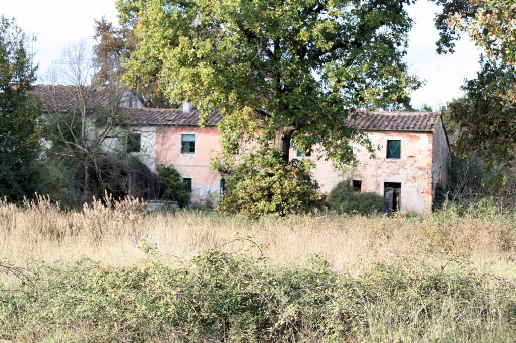 604-Casale bifamiliare di nuova costruzione-Altopascio-18 Agenzia Immobiliare ASIP
