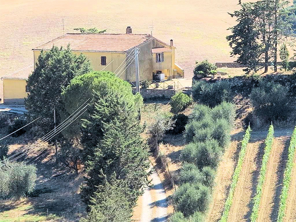 706-Azienda agricola in posizione collinare e panoramica-Magliano in Toscana-15 Agenzia Immobiliare ASIP