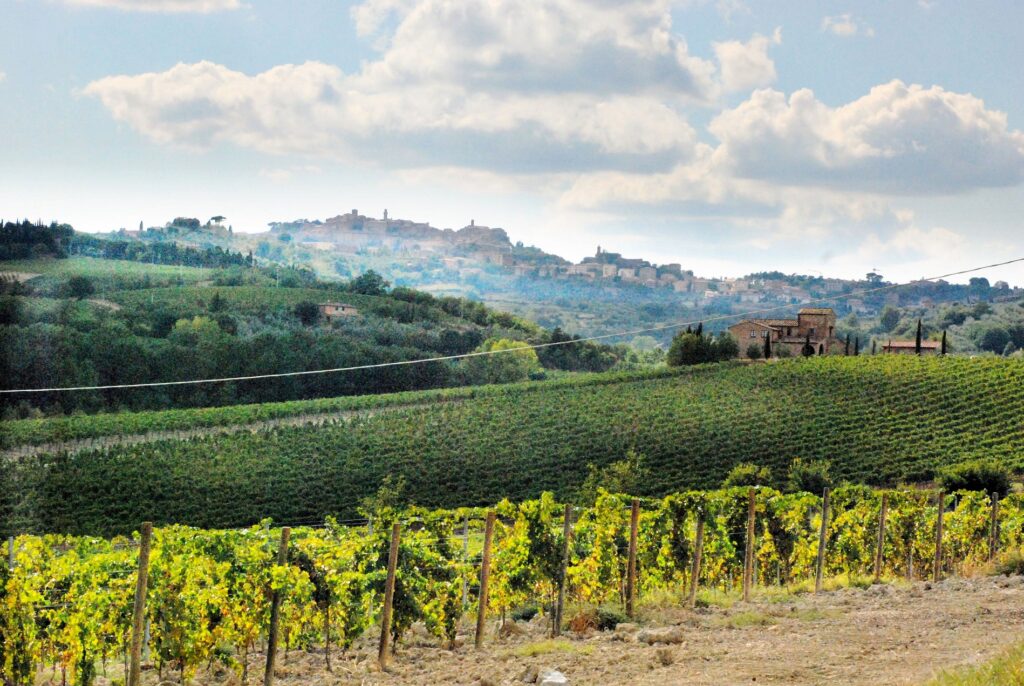 759-Azienda vinicola di alto livello-Montepulciano-3 Agenzia Immobiliare ASIP