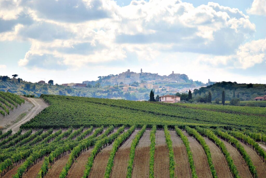 759-Azienda vinicola di alto livello-Montepulciano-8 Agenzia Immobiliare ASIP