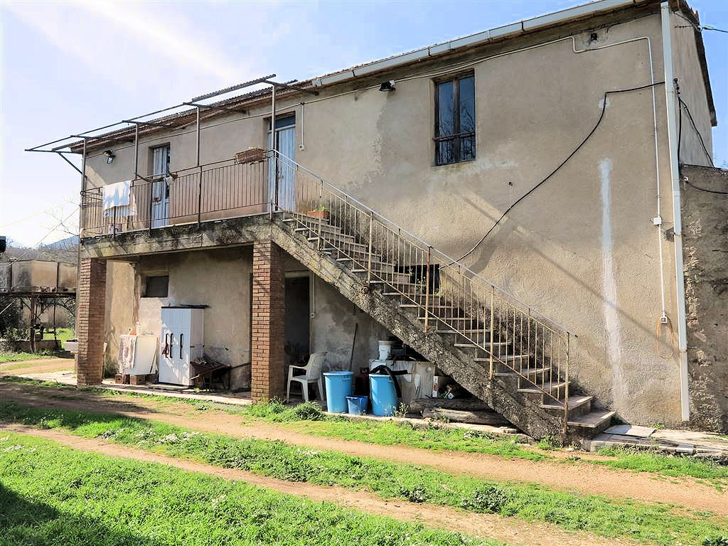 805-Podere panoramico in Maremma-Gavorrano-1 Agenzia Immobiliare ASIP