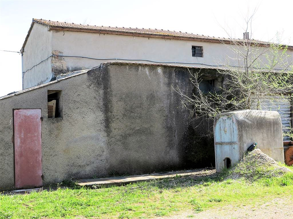 805-Podere panoramico in Maremma-Gavorrano-12 Agenzia Immobiliare ASIP