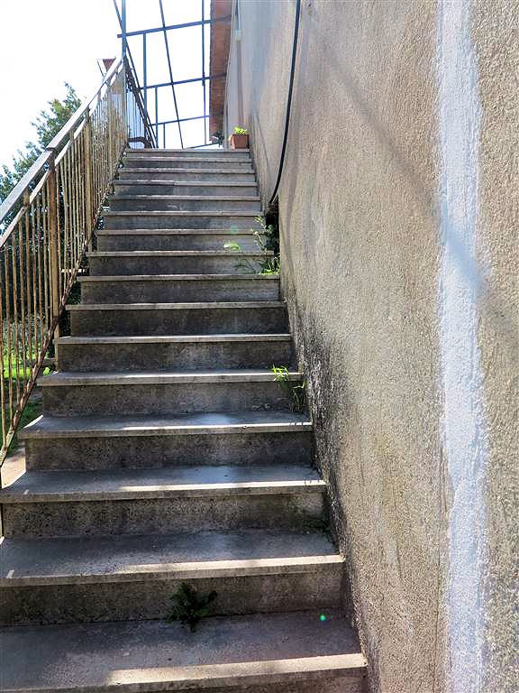 805-Podere panoramico in Maremma-Gavorrano-15 Agenzia Immobiliare ASIP