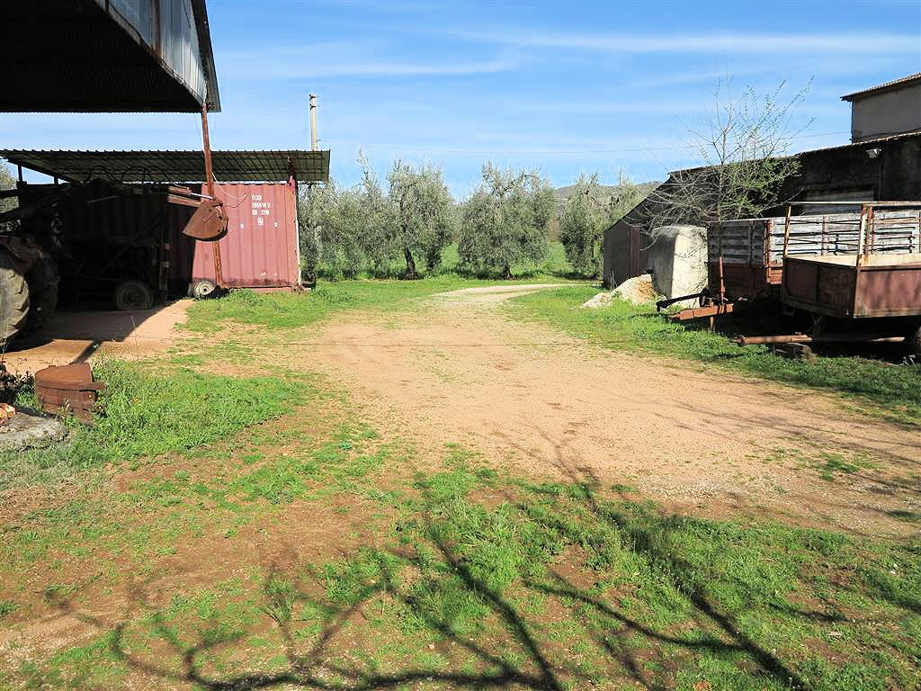 805-Podere panoramico in Maremma-Gavorrano-5 Agenzia Immobiliare ASIP