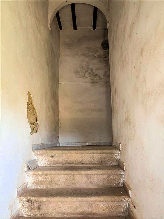 805-Podere panoramico in Maremma-Gavorrano-13 Agenzia Immobiliare ASIP