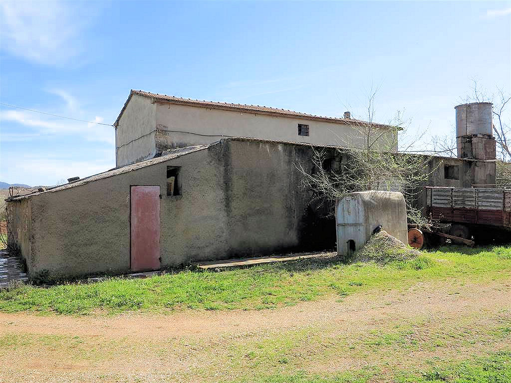 805-Podere panoramico in Maremma-Gavorrano-7 Agenzia Immobiliare ASIP