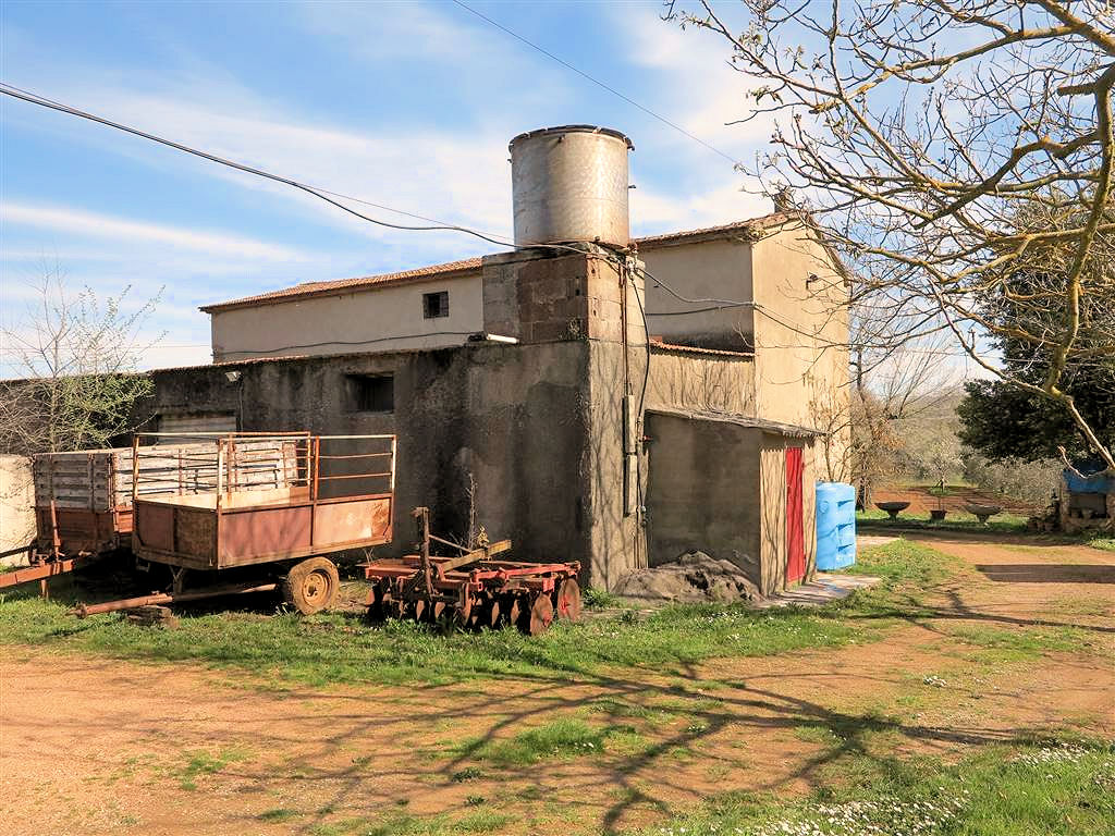 805-Podere panoramico in Maremma-Gavorrano-6 Agenzia Immobiliare ASIP