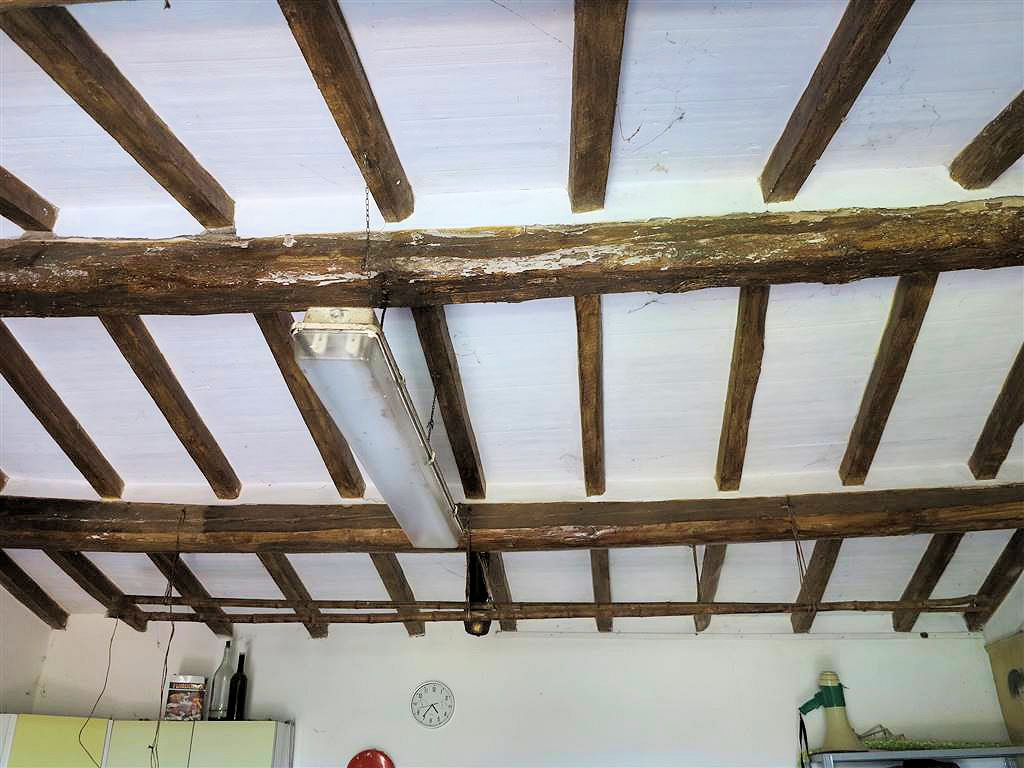 805-Podere panoramico in Maremma-Gavorrano-10 Agenzia Immobiliare ASIP