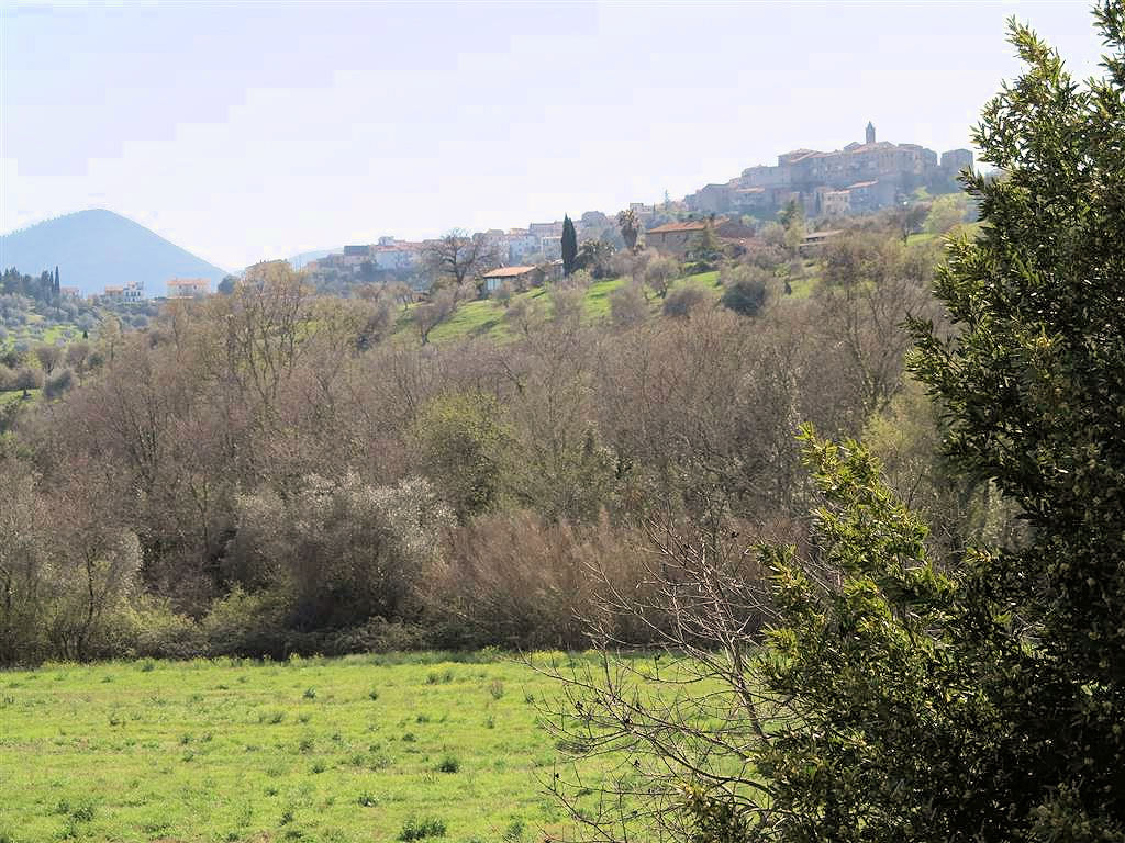 805-Podere panoramico in Maremma-Gavorrano-17 Agenzia Immobiliare ASIP