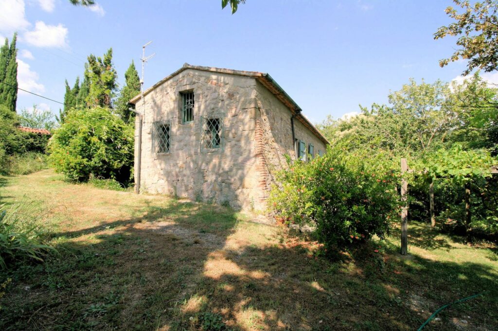 884-Casale con annessi ampio terreno e vista panoramica-Roccastrada-5 Agenzia Immobiliare ASIP