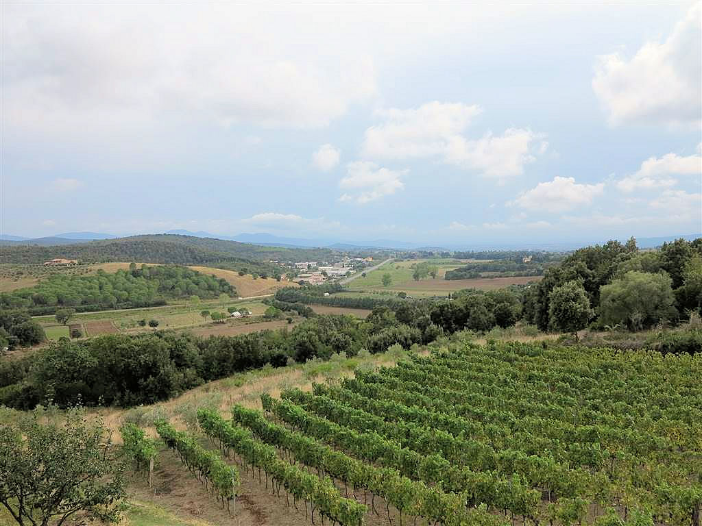 905-Casale ristrutturato con vista panoramica parco e piscina-Massa Marittima-10 Agenzia Immobiliare ASIP