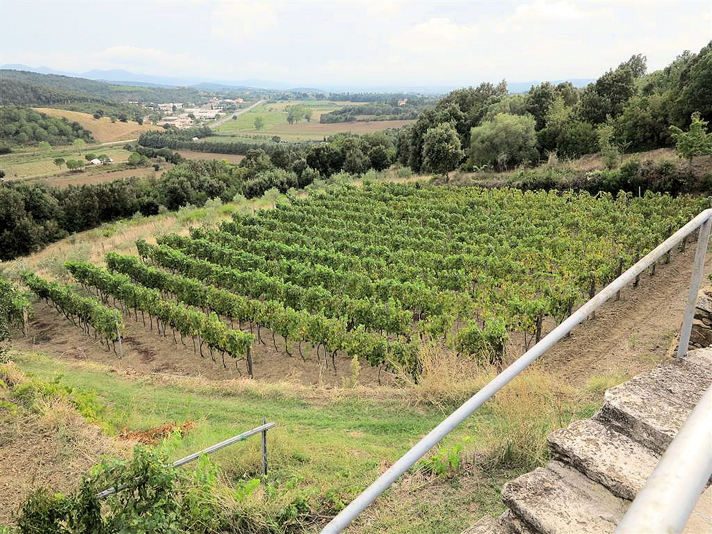 905-Casale ristrutturato con vista panoramica parco e piscina-Massa Marittima-3 Agenzia Immobiliare ASIP