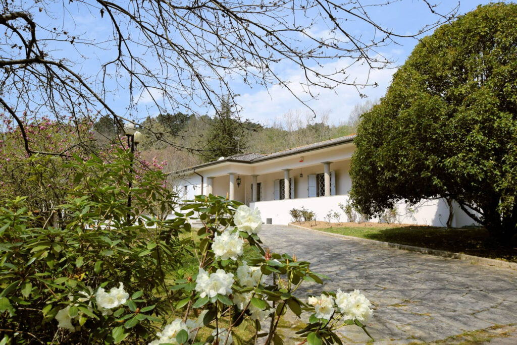 1153-Villa in collina con parco-Camaiore-20 Agenzia Immobiliare ASIP