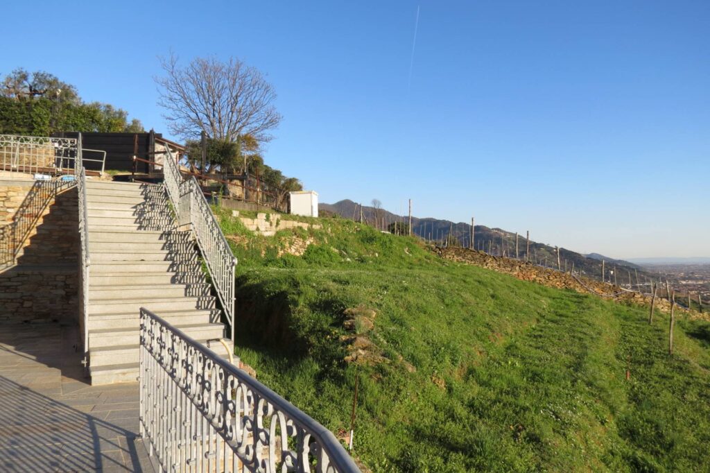 1233-Villa unifamiliare con ampio giardino e vista mare-Pietrasanta-7 Agenzia Immobiliare ASIP