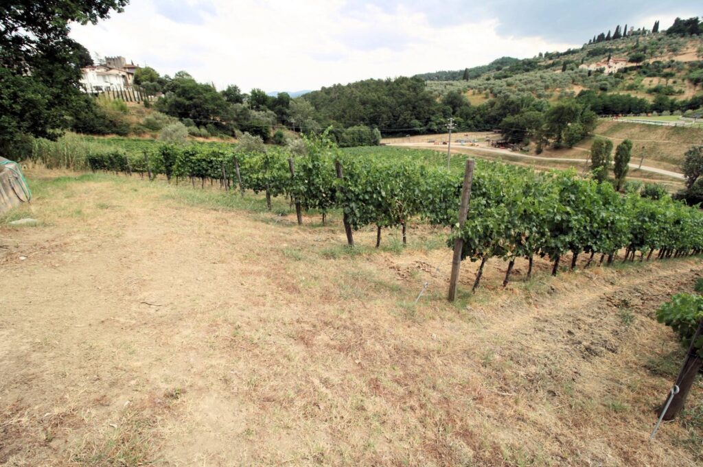 1268-Prestigiosa tenuta con ampio parco piscina e vigneto-Poggio a Caiano-8 Agenzia Immobiliare ASIP