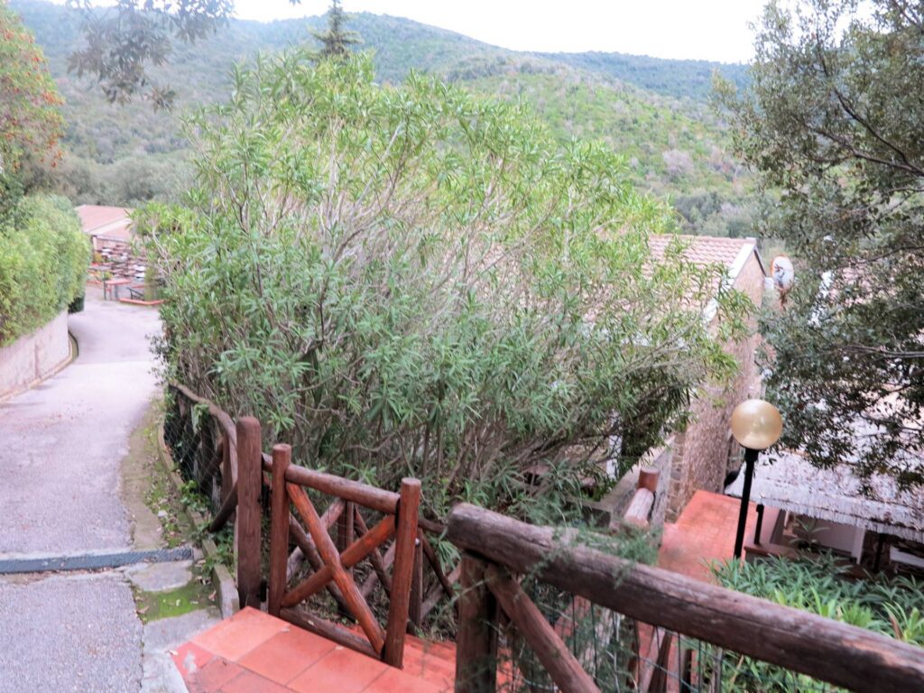 1298-Villetta indipendente con piscina condominiale-Castiglione della Pescaia-6 Agenzia Immobiliare ASIP