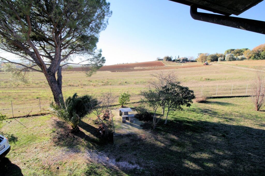 1299-Podere ex Ente Maremma ristrutturato con ampio terreno-Roccastrada-5 Agenzia Immobiliare ASIP