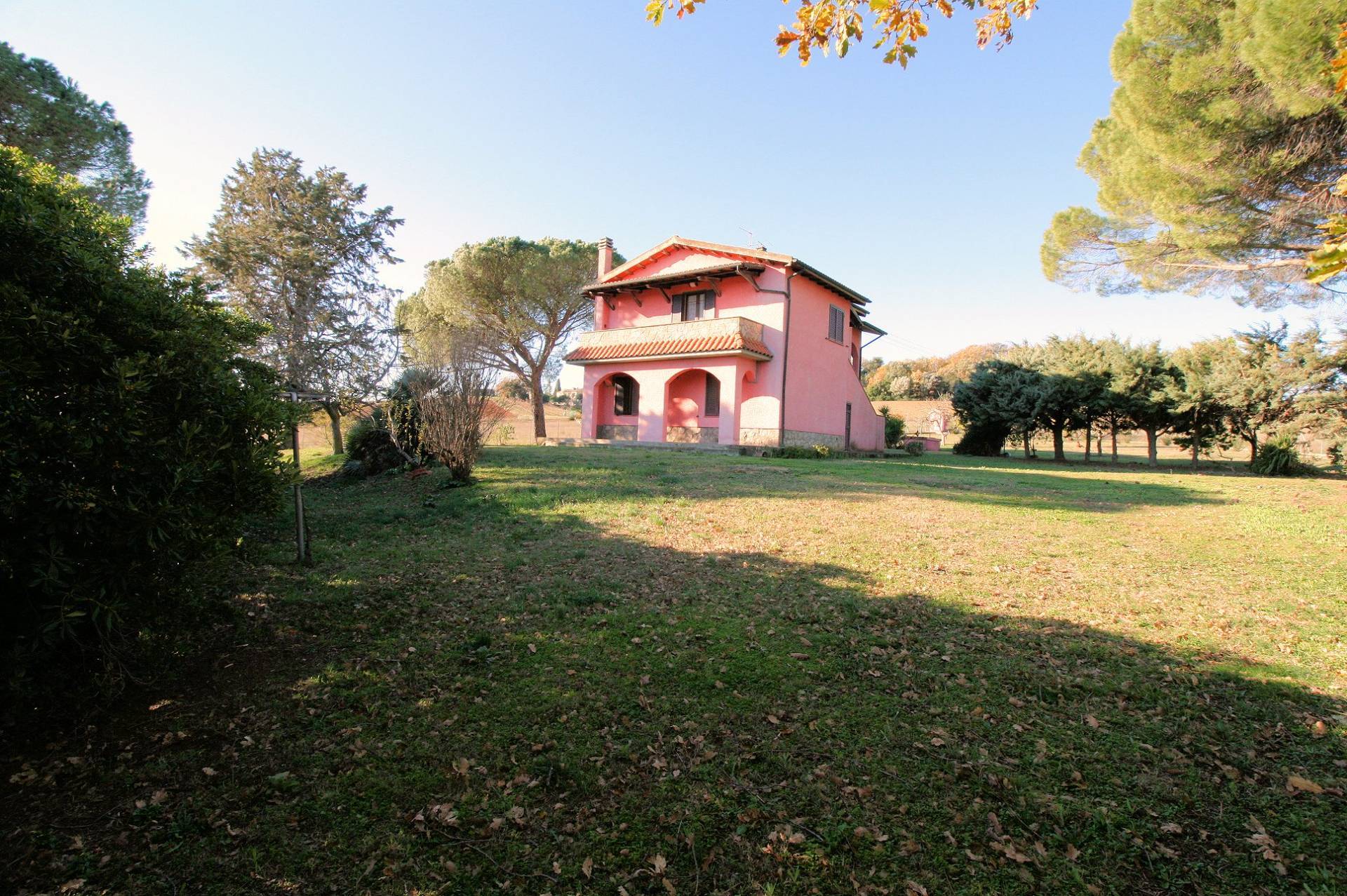 1299-Podere ex Ente Maremma ristrutturato con ampio terreno-Roccastrada-1 Agenzia Immobiliare ASIP