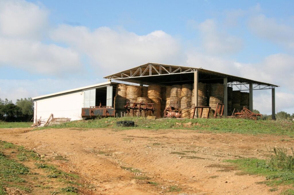 1318-Azienda agricola in posizione collinare e panoramica-Magliano in Toscana-8 Agenzia Immobiliare ASIP