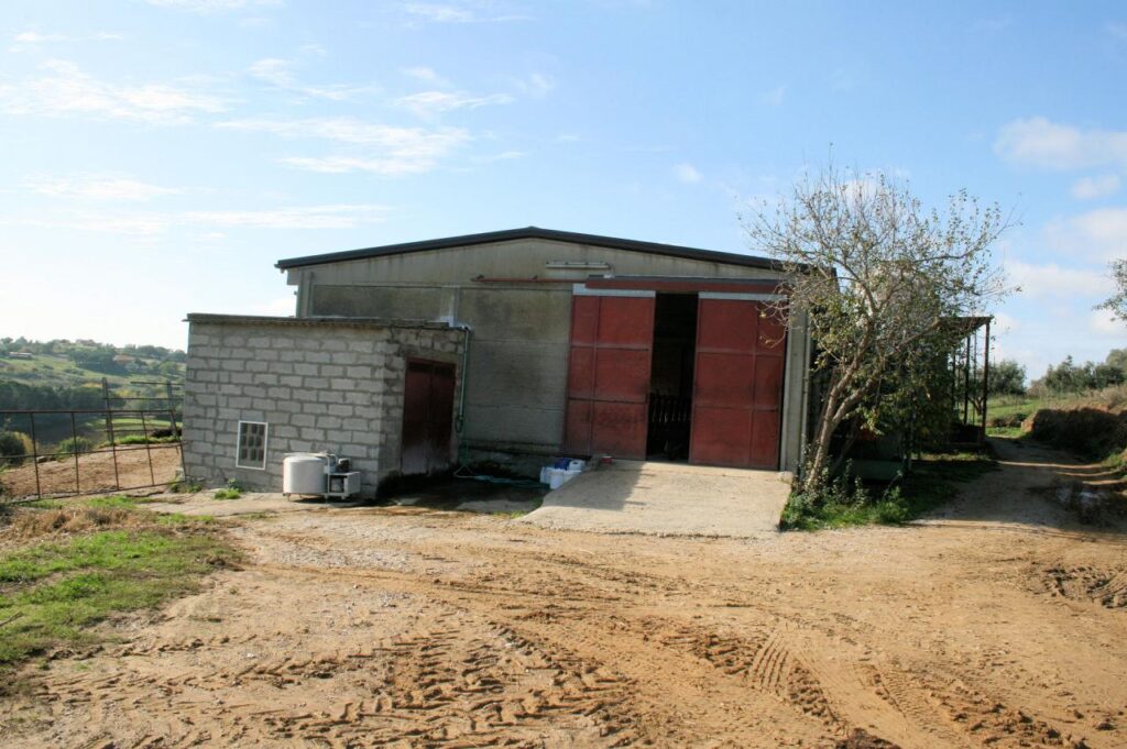 1318-Azienda agricola in posizione collinare e panoramica-Magliano in Toscana-9 Agenzia Immobiliare ASIP
