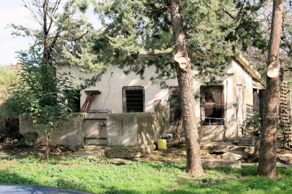 1318-Azienda agricola in posizione collinare e panoramica-Magliano in Toscana-13 Agenzia Immobiliare ASIP
