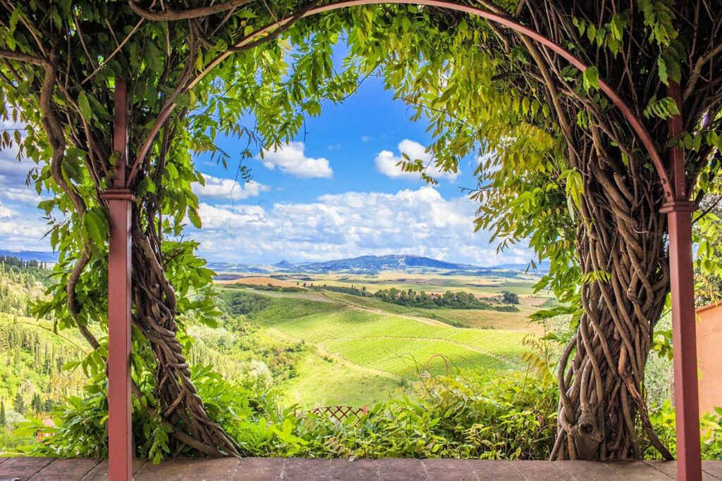 1334-Bellissima villa in stile Toscano con parco e piscina con suggestiva vista panoramica-Peccioli-7 Agenzia Immobiliare ASIP