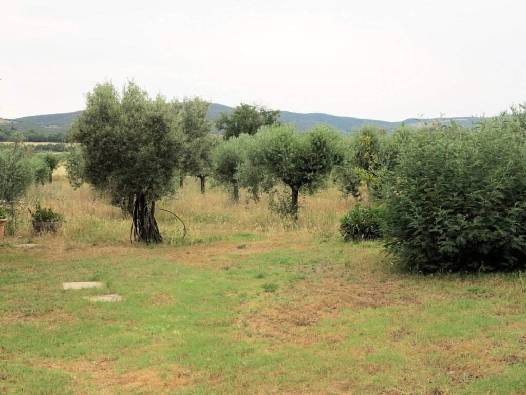 901-Casale di ampia superficie in posizione dominante-Massa Marittima-8 Agenzia Immobiliare ASIP