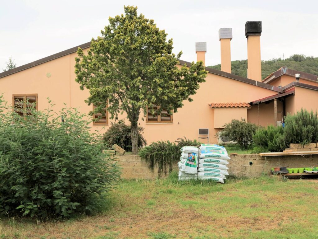 901-Casale di ampia superficie in posizione dominante-Massa Marittima-4 Agenzia Immobiliare ASIP