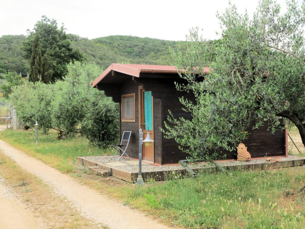 901-Casale di ampia superficie in posizione dominante-Massa Marittima-9 Agenzia Immobiliare ASIP