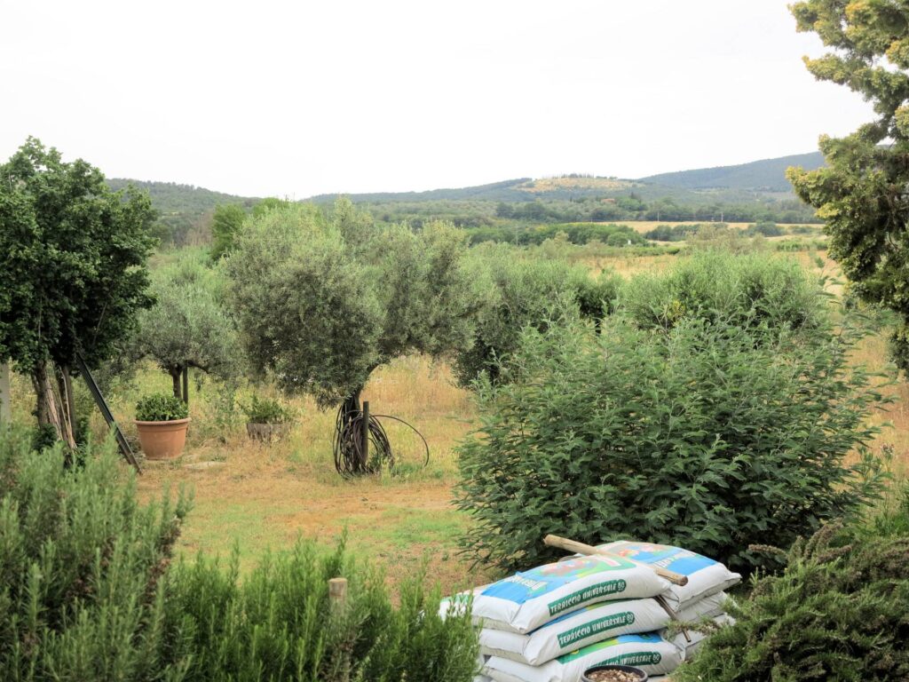 901-Casale di ampia superficie in posizione dominante-Massa Marittima-10 Agenzia Immobiliare ASIP