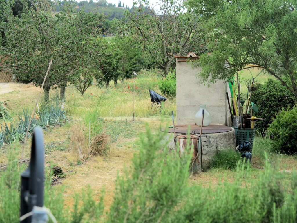 901-Casale di ampia superficie in posizione dominante-Massa Marittima-11 Agenzia Immobiliare ASIP