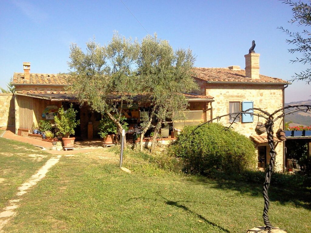 1353-Azienda agricola in posizione panoramica-Radicondoli-8 Agenzia Immobiliare ASIP
