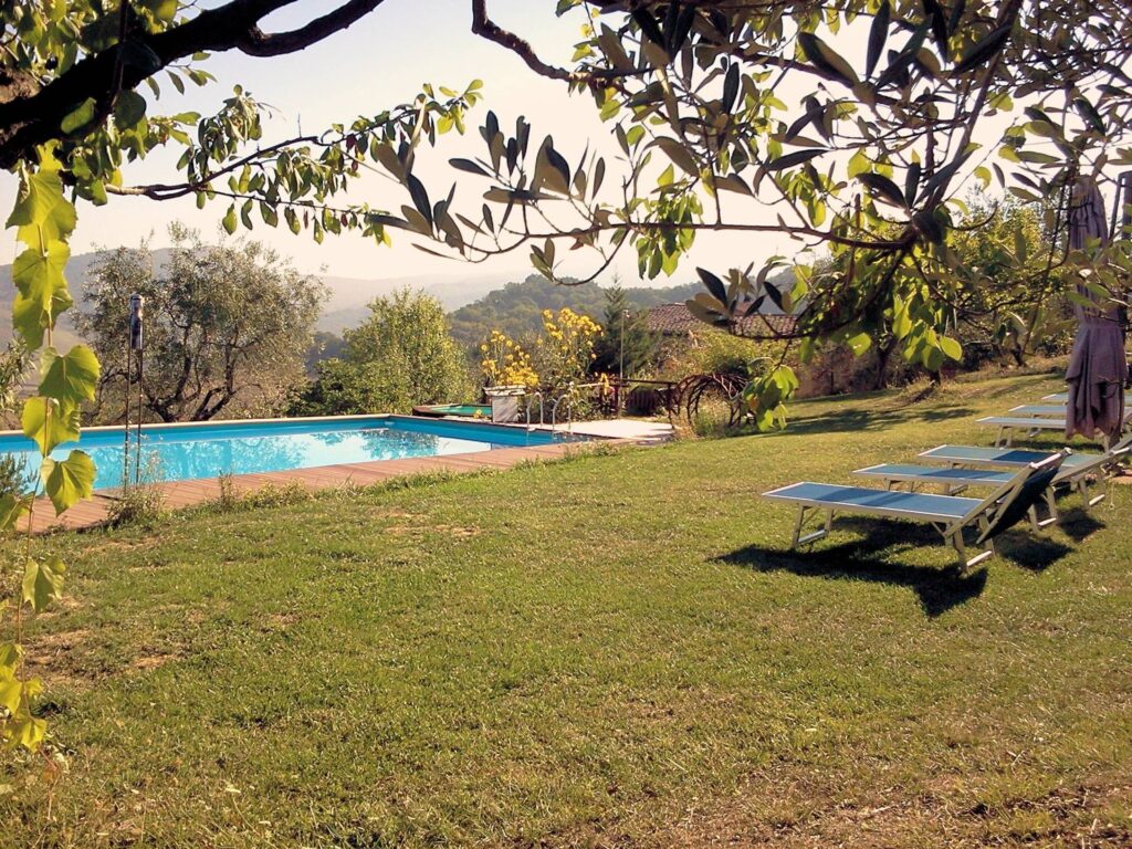 1353-Azienda agricola in posizione panoramica-Radicondoli-5 Agenzia Immobiliare ASIP